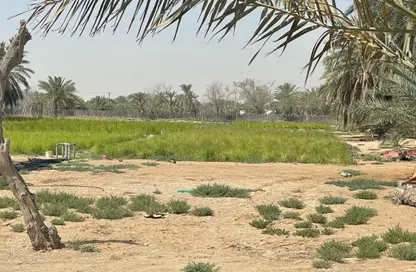 Farm - Studio for sale in Al Khatim - Abu Dhabi