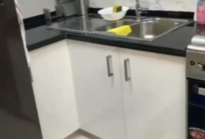 16033914 - صورة العقار 2