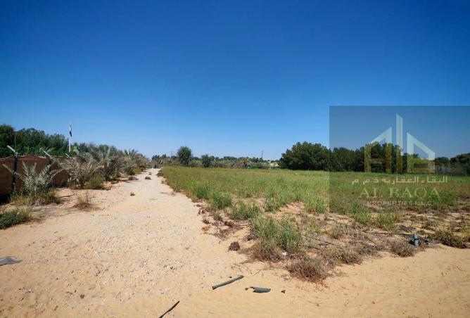 15372265 - Property Image 2