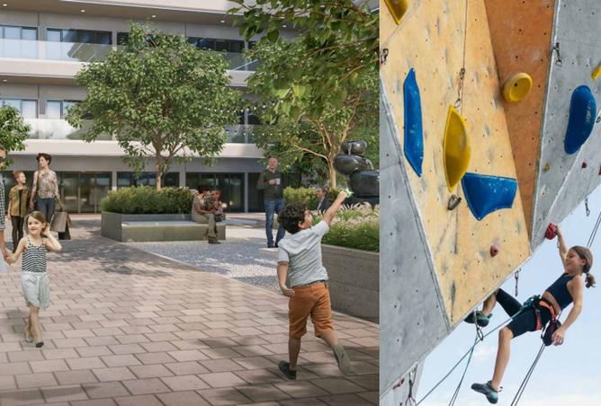 15610486 - صورة العقار 3