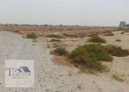 أرض للبيع في عجمان جلوبال سيتي - العالية - عجمان