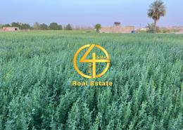 Farm - 1 bathroom for sale in Al Rahba - Abu Dhabi