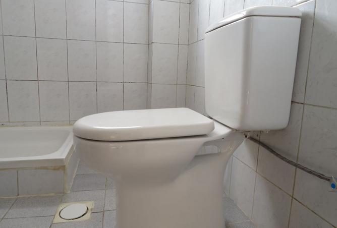 15770497 - Property Image 3