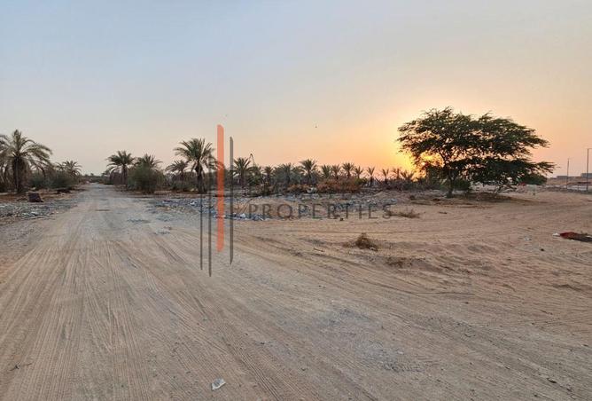 15826824 - صورة العقار 3