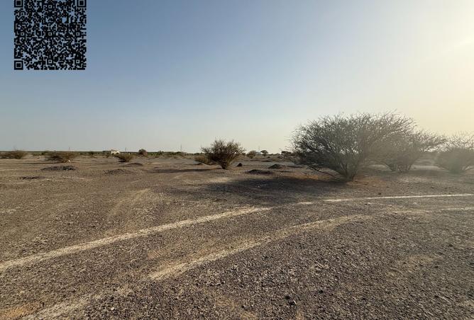 16071624 - Property Image 3