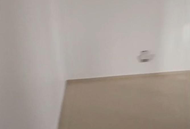 15298359 - Property Image 2