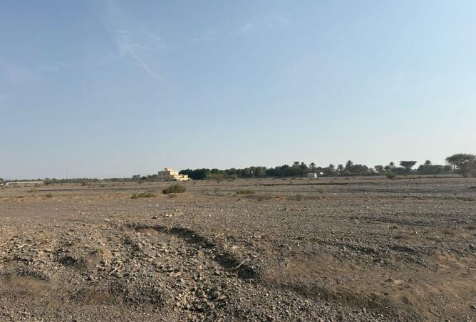 15595632 - Property Image 3