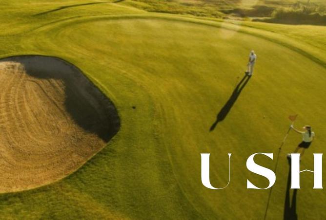 15506002 - صورة العقار 2