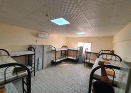 Staff Accommodation - 8 bathrooms for rent in M-12 - Mussafah Industrial Area - Mussafah - Abu Dhabi