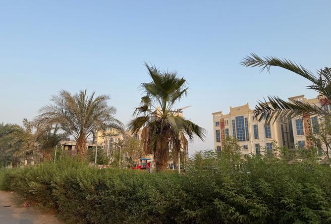 15858489 - Property Image 2