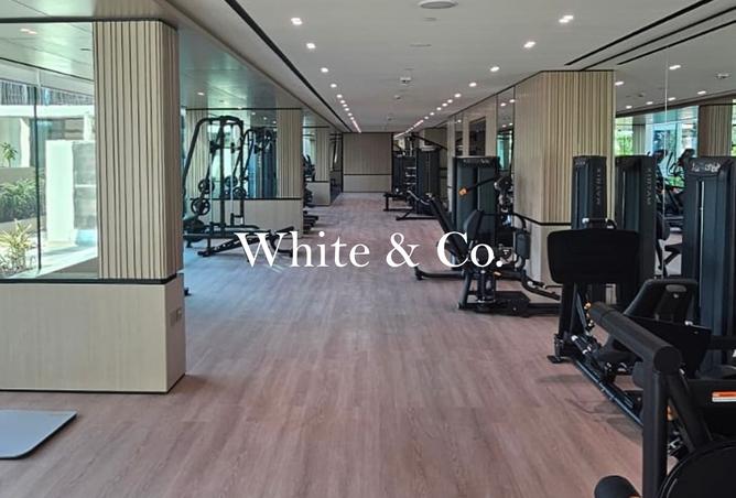 15562203 - Property Image 2