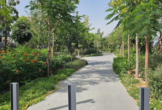 15626794 - Property Image 3