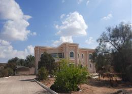 Duplex - 5 bedrooms - 7 bathrooms for rent in Al Dhahir - Al Ain