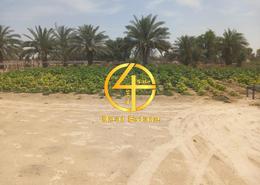 Farm for sale in Al Jimi - Al Ain