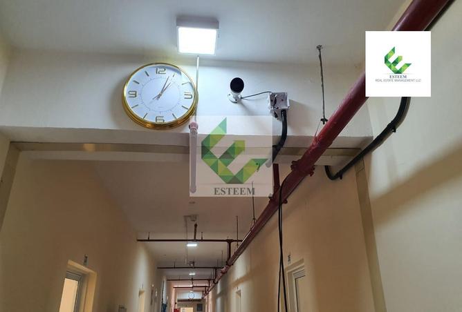 13583213 - صورة العقار 3