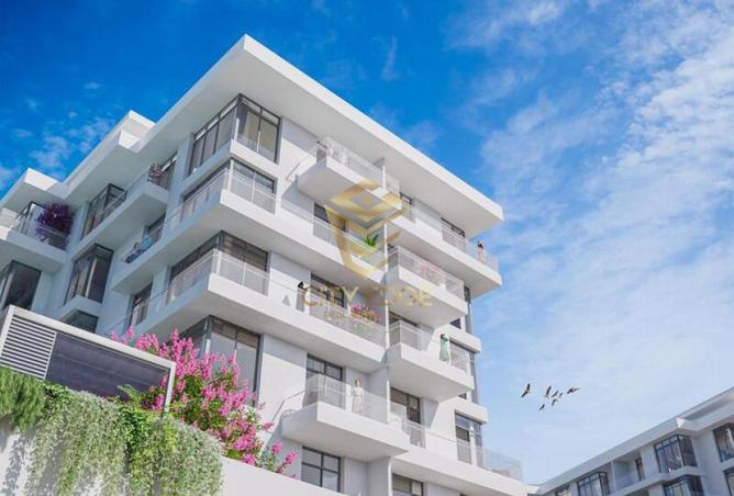 15906519 - Property Image 2