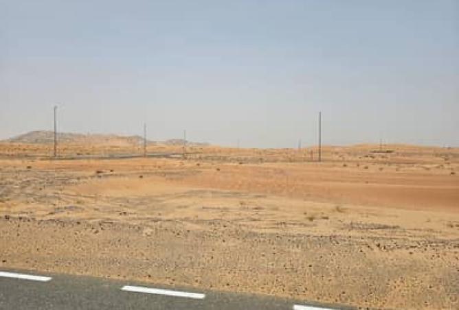 15667639 - Property Image 2