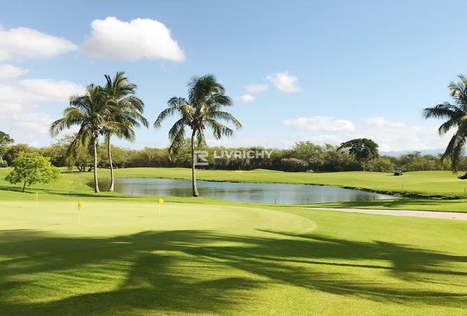 15699542 - صورة العقار 3