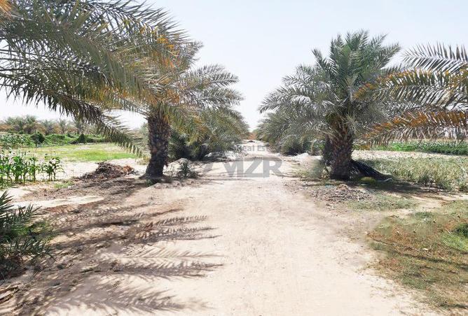 15880569 - صورة العقار 2