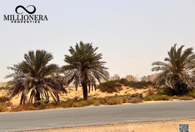 15183006 - صورة العقار 3
