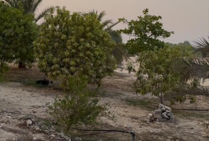 15561956 - Property Image 3