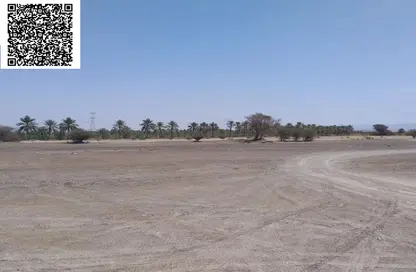 Land - Studio for sale in Manama - Ajman Land - Studio for sale in Manama - Ajman