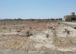 صورةمبنى خارجي لـ: أرض للبيع في مصفوت 8 - مصفوت - عجمان, صورة 1