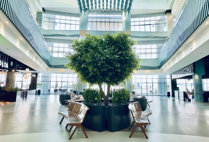 Affordable Studio in a Prime Location..?