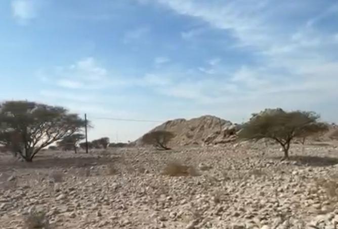 15891187 - صورة العقار 2