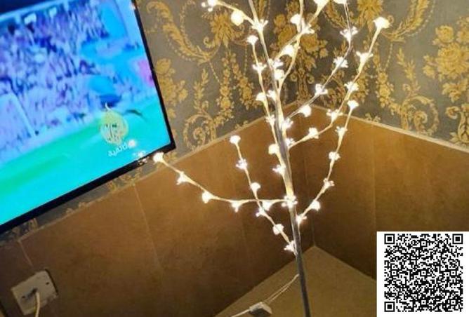 16070261 - Property Image 3