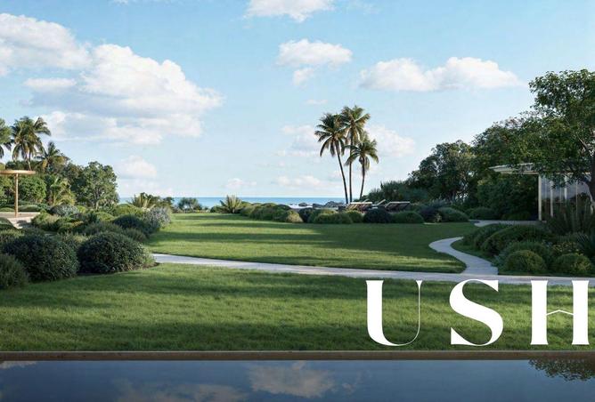 15943487 - صورة العقار 3