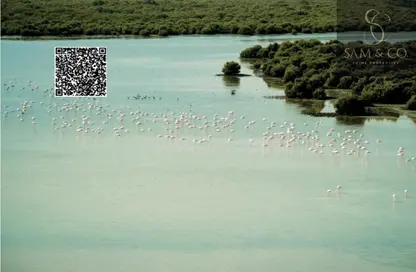 Land - Studio for sale in Creekside - Al Zorah - Ajman