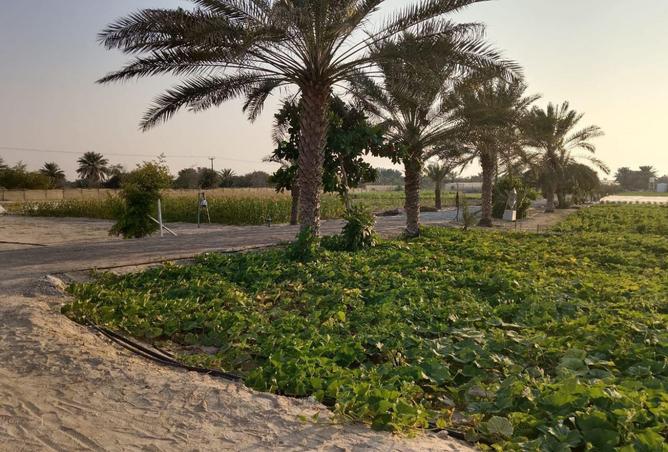 15784846 - صورة العقار 2