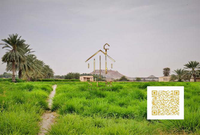 15228541 - صورة العقار 3