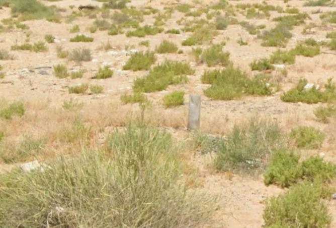 15857062 - صورة العقار 2