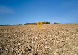 Land for sale in Al Bateen - Abu Dhabi