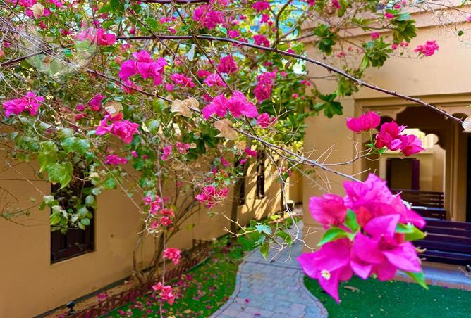 15205640 - الصورة الرئيسية للعقار