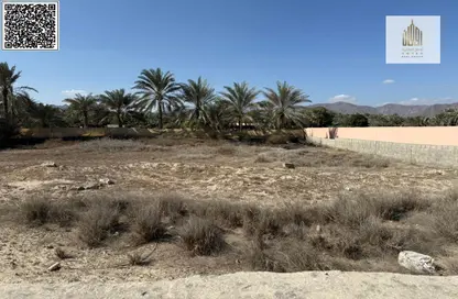 Ready farm for sale in a very special in Fujairah