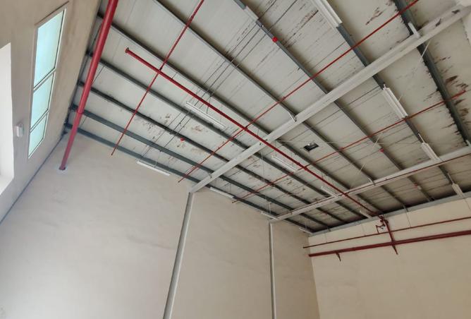 15972524 - Property Image 2