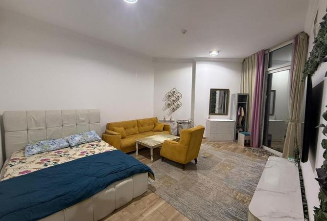 16099395 - Property Image 2