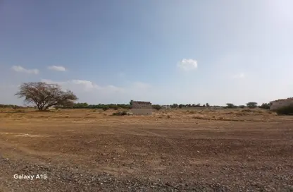 أرض - استوديو للبيع في المنامة - عجمان