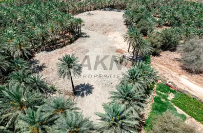 أرض - استوديو للبيع في قدفع - الفجيرة
