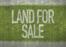 Land for sale in Al Warsan 2 - Al Warsan - Dubai