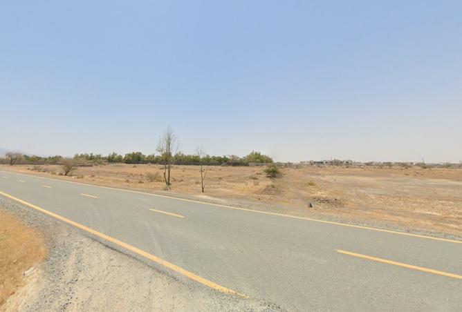 15991352 - Property Image 3