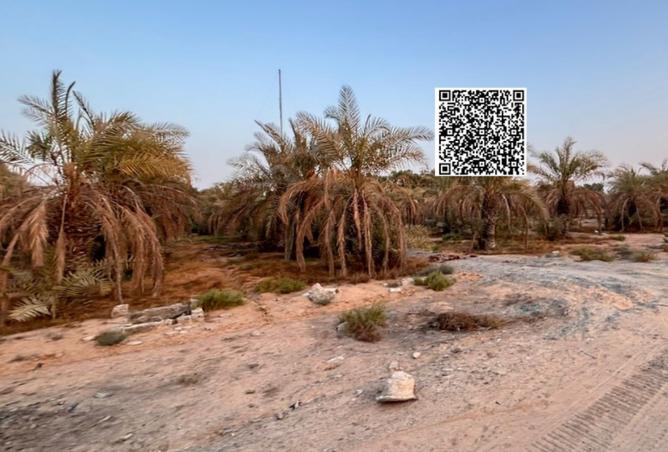 16101609 - صورة العقار 2