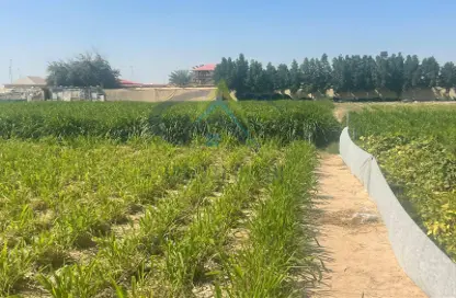 صورة لـ حديقة مزرعة - استوديو للبيع في رماح - أبوظبي ، صورة رقم 1