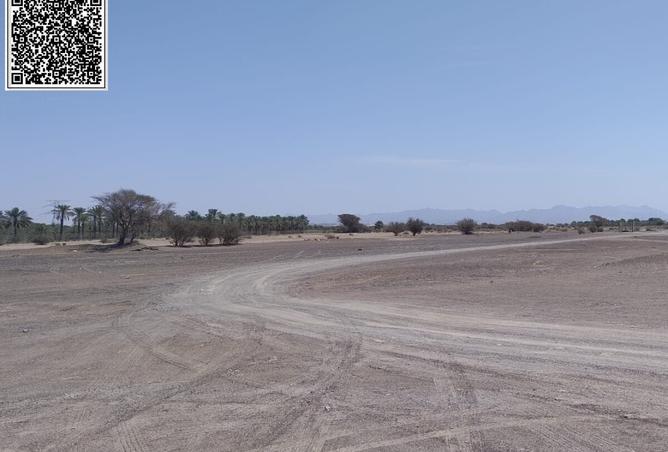 15867198 - Property Image 2