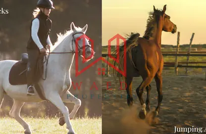 أرض - استوديو للبيع في واحة النخيل - إرابيان هيلز استيت - الفقع - العين
