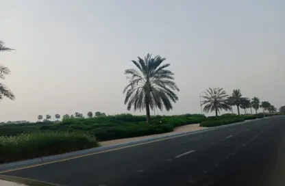 أرض - استوديو للبيع في آيديل 1 - 3  الروضة - الروضة - عجمان
