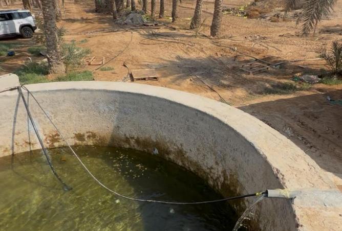 15940551 - Property Image 3